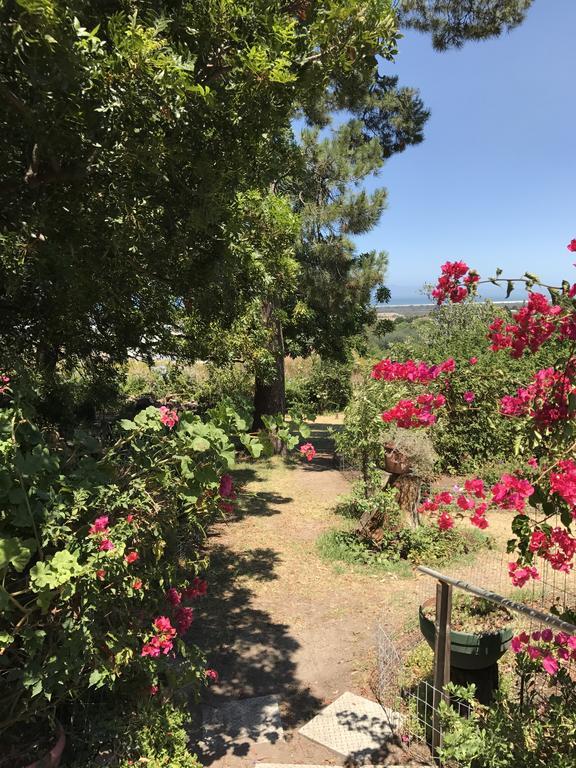 Helderbos Country House Somerset West Eksteriør billede