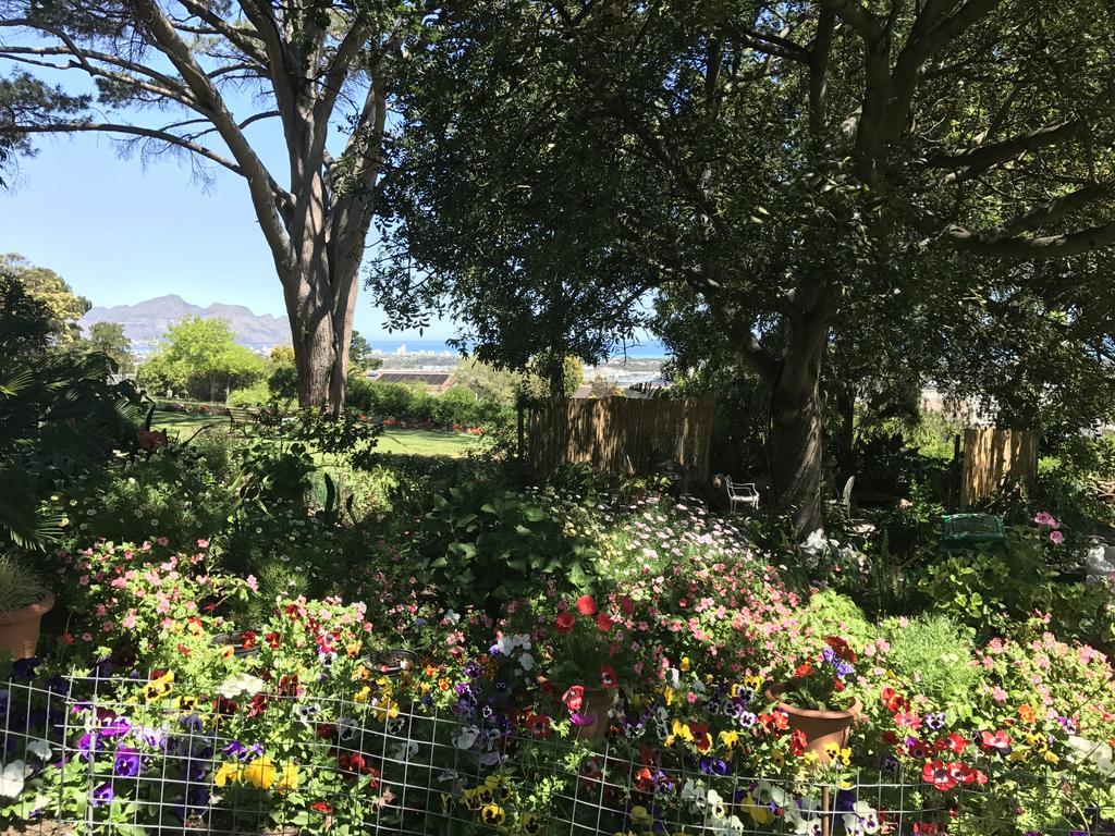 Helderbos Country House Somerset West Eksteriør billede